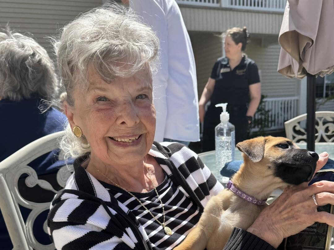Pet Friendly Retirement Homes Pet Friendly Retirement Homes