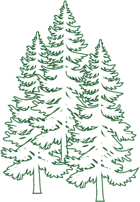 Graphic Icon_White-Green